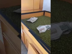 Ατμοσφαιρικό στεγνωτήρα κρεβατιού Σίριαλ καρύδια φασόλια στεγνωτήρα 4 τόνους