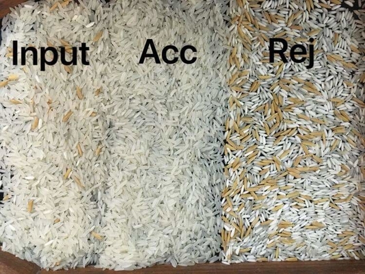 High Output 3 Chutes Color Sorter Online Ccd Factory Rice Color Sorter Machine Wheat Rice Optical Infared Sorting Mach