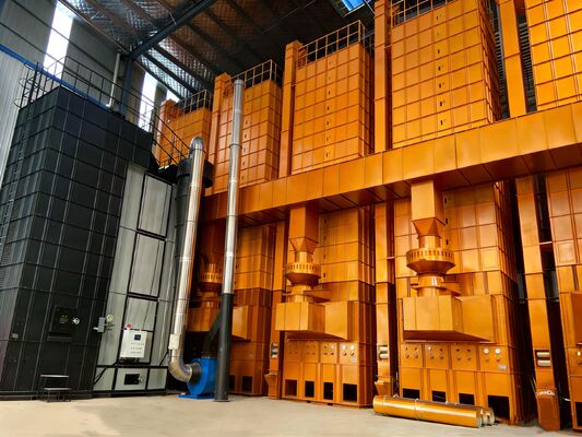 Ξηρότερη μηχανή ορυζώνα σιταριού τύπων batch 120 TPD για το μύλο ρυζιού