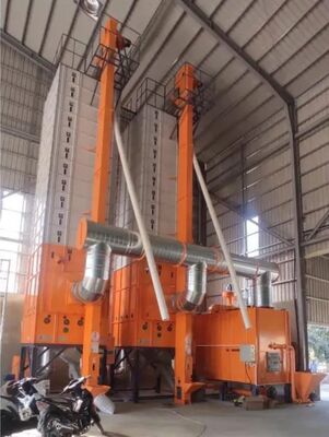 Καλή τιμή 15 πλήρων αυτοματοποίησης συνεχών βρασμένων στον ατμό ακατέργαστων τόνοι στεγνωτήρων ορυζώνα σε απευθείας σύνδεση