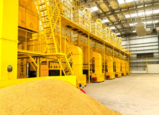 Καλή τιμή 100 τόνοι ξηρότερη μηχανή αραβόσιτου σιταριού όλη η ξήρανση κατευθύνσεων σε απευθείας σύνδεση